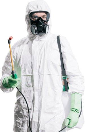 bed bugs exterminators clarksville tn