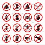 exterminator Clarksville tn